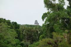 Tikal et Flores